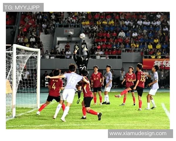 网式足球的魅力与发展探讨：如何在新时代中重塑这项运动的未来